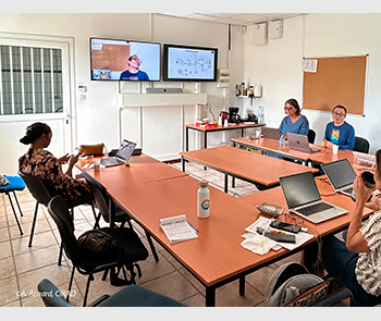 Veille en épidémiosurveillance