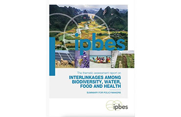 IPBES - Nexus